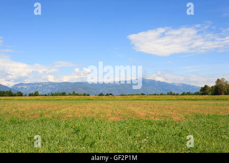 Terrain en friche avec montagnes en arrière-plan. L'agriculture italienne. Paysage rural Banque D'Images