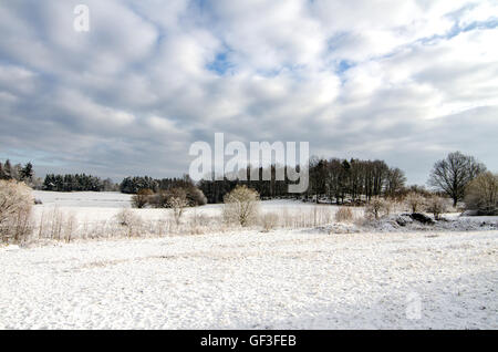 Neige de l'hiver dans la campagne Terres agricoles européennes Banque D'Images