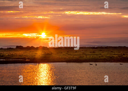 Southport, Merseyside, Royaume-Uni. 28 juillet, 2016. Colorée ciel de Pendle Hill l'allumage de la réserve RSPB à Marshside, une aire d'hivernage pour un grand nombre de bernaches sur leur route migratoire du sud. Les marais autour de la station sont une attraction majeure dans les mois d'hiver, fournissant de la nourriture et de répit pour des milliers de cygnes et d'oies en-route de l'Islande. La prévision est de forte pluie ce matin, l'assouplissement par l'après-midi, mais persistant dans le nord, plus sec et plus lumineux plus tard, peut-être isolé avec de fortes averses orageuses,. Banque D'Images