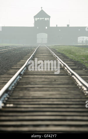 Auschwitz, en Pologne. 29 juillet, 2016. Oswiecim, Pologne. 29 juillet, 2016. Les voies de chemin de fer à l'enceinte de l'ancien camp d'extermination nazi d'Auschwitz-Birkenau en Pologne, illustré à l'occasion de la visite du Pape le vendredi 29 juillet 2016. Photo : Armin Weigel/dpa/Alamy Live News Crédit : afp photo alliance/Alamy Live News Banque D'Images