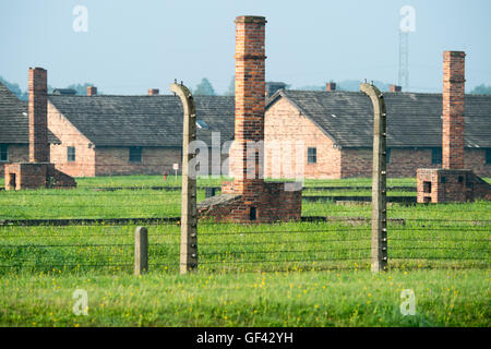 Auschwitz, en Pologne. 29 juillet, 2016. Oswiecim, Pologne. 29 juillet, 2016. Les motifs de l'ancien camp d'extermination nazi d'Auschwitz-Birkenau à Oswiecim, Pologne, illustrée à l'occasion de la visite du Pape le vendredi 29 juillet 2016. Photo : Armin Weigel/dpa/Alamy Live News Crédit : afp photo alliance/Alamy Live News Banque D'Images