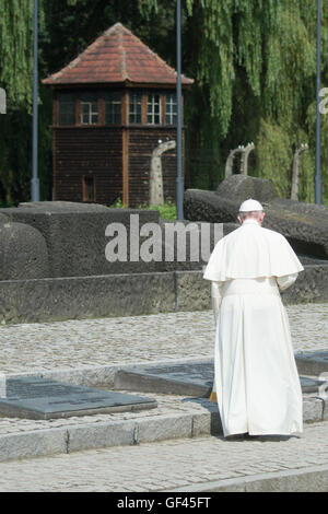 Auschwitz-Birkenau, en Pologne. 29 juillet, 2016. Le pape François visites l'ancien camp d'extermination nazis d'Auschwitz-Birkenau à Oswiecim, Pologne le vendredi 29 juillet 2016. Il dépense une "journée du silence" ici, prendre part à la Journée mondiale de la Jeunesse (JMJ) qui a eu lieu en Pologne. Dpa : Crédit photo alliance/Alamy Live News Banque D'Images