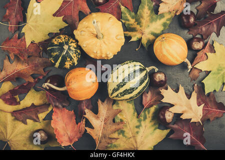 L'automne les feuilles de couleur et de citrouilles miniatures sur un carton gris, concept de l'automne, vu du dessus Banque D'Images