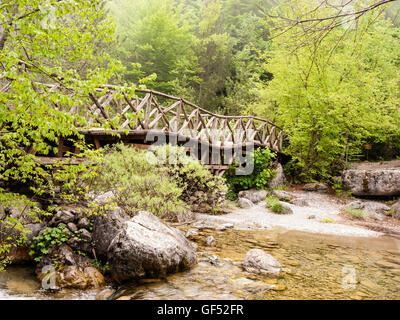 Pont de bois sur une rivière dans les montagnes de l'Olympe en Grèce Banque D'Images