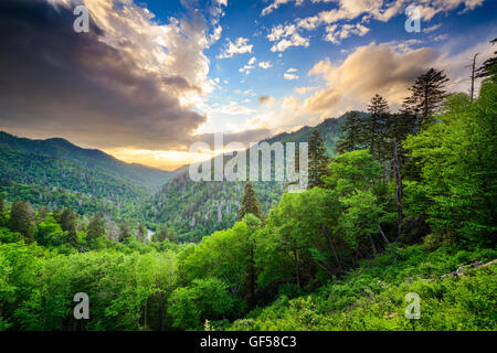 Coucher du soleil à la Newfound Gap dans les Great Smoky Mountains. Banque D'Images