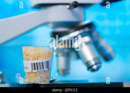 Les tests microbiologiques pour la qualité des aliments au laboratoire de biochimie Banque D'Images