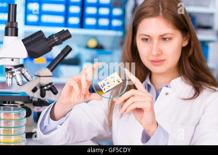 Femme dans le laboratoire technicien teste la qualité de l'alimentation Banque D'Images