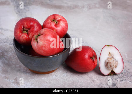 Fruits tropicaux Acmella oleracea (mal de dents, de l'usine, paracress electric daisy, le jambu) dans un bol sur la table de marbre. Focus sélectif. Co Banque D'Images