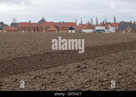 Nouveau lotissement construit sur d'anciennes terres agricoles. Stalham. Le Norfolk. L'East Anglia. L'Angleterre. Banque D'Images