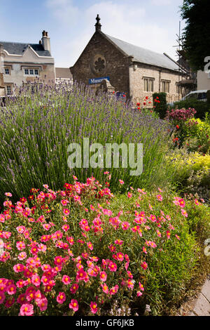 Royaume-uni, Angleterre, Devon, Honiton, High Street, la plantation de fleurs à l'extérieur musée Allhallows Banque D'Images