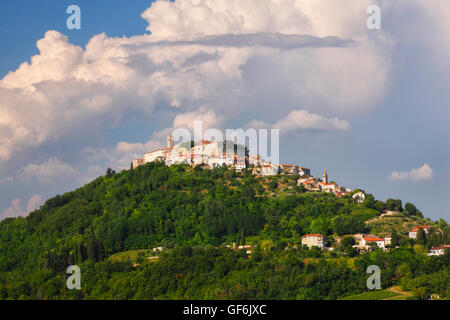 Sur la colline de Motovun, Croatie Banque D'Images