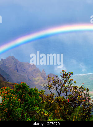 Comme arc-en-ciel vu de Kalalau Lookout. Waimea Canyon. Kauai, Hawaii