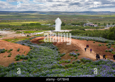 Strokkur Geysir Hot Spring Area, becs l'eau 30 mètres (100 pieds), au sud-ouest de l'Islande, Golden Circle Tour Banque D'Images