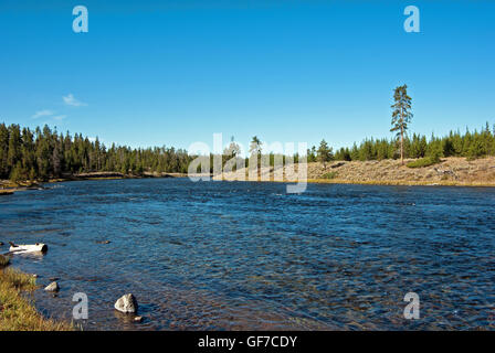 La Madison river in Yellowstone National Park. Banque D'Images