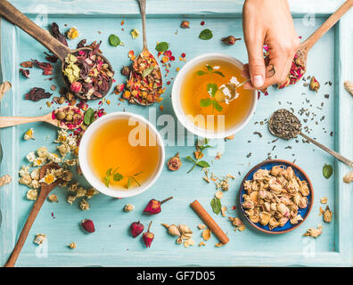 Deux tasses de thé à base de plantes en bonne santé avec la menthe, cannelle, rose, fleurs de camomille séchées dans des cuillères et man's hand holding spoon Banque D'Images