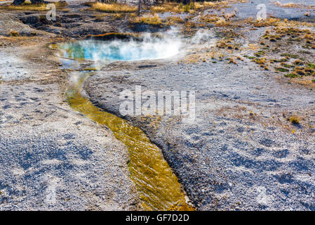 La vapeur d'eau et piscine à West Thumb Geyser Basin dans le Parc National de Yellowstone Banque D'Images