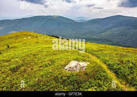 Chemin de l'herbe en prairie étroite entre les pierres blanches en haut de la colline en haute montagne Banque D'Images