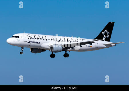 Lufthansa Airbus A320-211 [D-AIPD] Star Alliance en couleurs sur courte piste finale 31. Banque D'Images