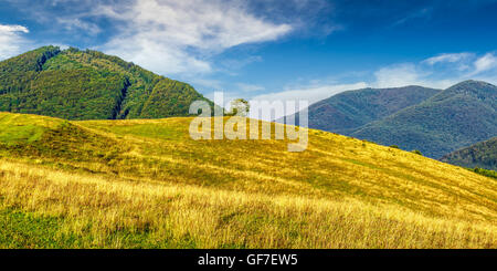 Campagne bretonne d'été paysage avec lonely tree on meadow in mountains Banque D'Images