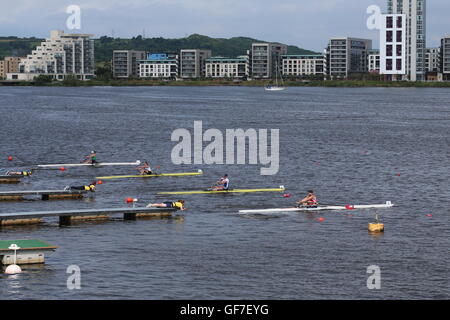 2016 Accueil d'Aviron International de Cardiff Bay - Battle of the Blades Banque D'Images