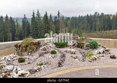 Alpine Slide sur une forêt d'automne pente dans les Carpates, région ouest de l'Ukraine Banque D'Images