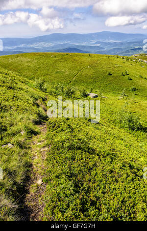 Chemin de l'herbe en prairie étroite entre les pierres blanches en haut de la colline en haute montagne Banque D'Images