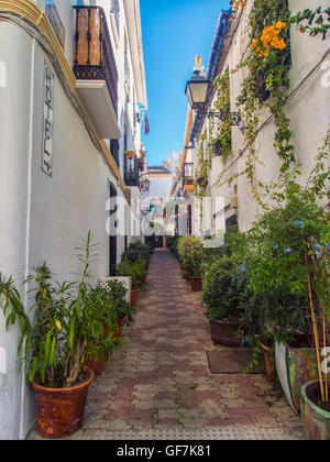 Belle armoire étroite street à Marbella Andalousie Espagne avec bâtiments blanchis à la chaux et bordée de pots de plantes Banque D'Images