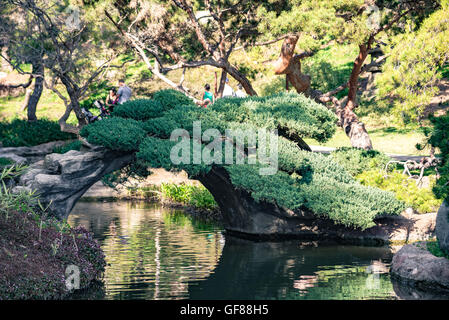 Les jardins japonais à la Huntington Library, Art Collections and Botanical Gardens Banque D'Images