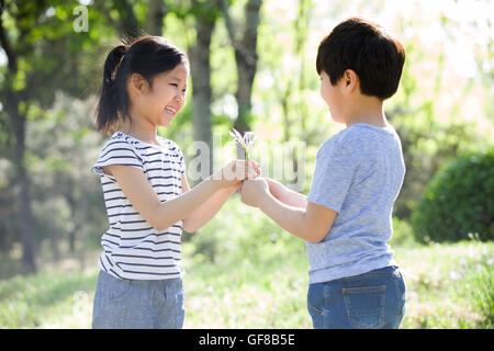 Petit garçon chinois donnant Chinese girl fleurs sauvages dans les bois Banque D'Images