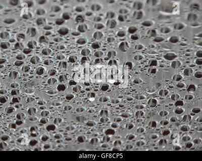 La condensation de l'humidité de l'eau dans le cadre de toit en plastique dans une petite piscine extérieure. Froid dehors - mais à l'intérieur chaleureux. Banque D'Images