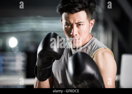 Portrait du boxeur chinois Banque D'Images
