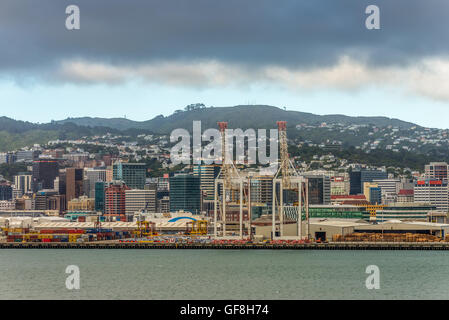 Par temps nuageux, la ville de Wellington, capitale de la Nouvelle-Zélande. Banque D'Images