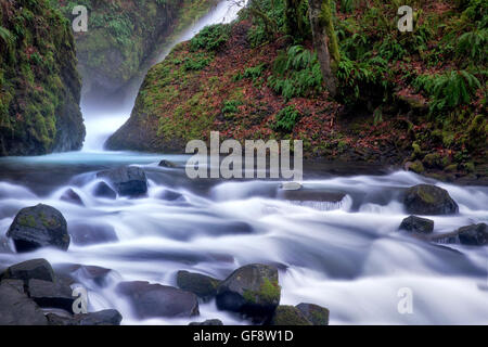 Bridal Veil Falls. Columbia River Gorge National Scenic Area, New York Banque D'Images