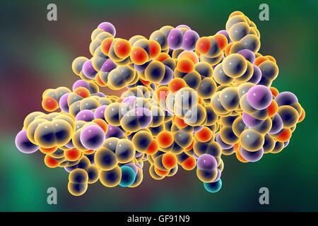 Molécule de l'insuline. Modèle d'ordinateur montrant la structure d'une molécule de l'hormone insuline. L'insuline joue un rôle important dans la régulation de la glycémie. L'insuline est libérée par le pancréas lorsque les niveaux de sucre dans le sang sont élevés, par exemple après un repas, promp Banque D'Images