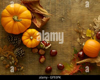 Citrouilles, pommes de pin, conkers et les feuilles d'automne, toujours la vie. Banque D'Images