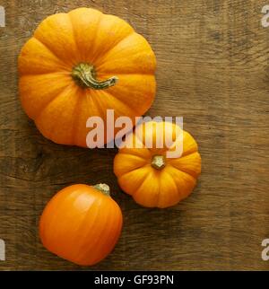 Cendrillon citrouille (Cucurbita moschata) et Jack être peu miniature (Cucurbita pepo) citrouilles, toujours la vie. Banque D'Images