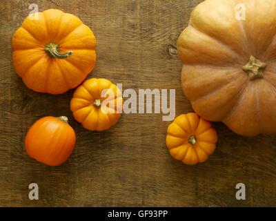 Cendrillon citrouille (Cucurbita moschata) et Jack être peu miniature (Cucurbita pepo) citrouilles, toujours la vie. Banque D'Images