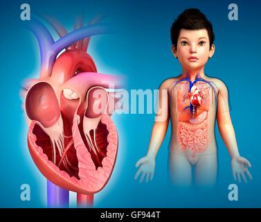 Illustration du cœur de l'enfant. Banque D'Images