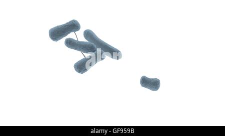 Les cellules des bactéries bleu libre isolated on white 3D render Banque D'Images