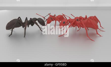 Les fourmis rouges attaque concertée sur ant noir 3D render Banque D'Images