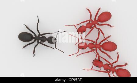 Les fourmis rouges attaque concertée sur ant noir 3D render Banque D'Images