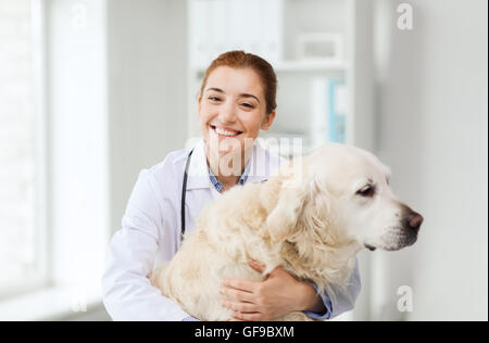 Happy doctor avec retriever chien à la clinique vétérinaire Banque D'Images