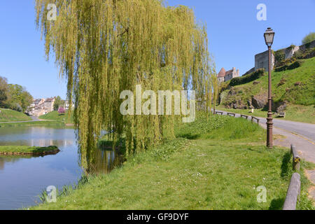 Étang et saule pleureur à Falaise, une commune française, située dans le département du Calvados et la région Basse-Normandie, France Banque D'Images