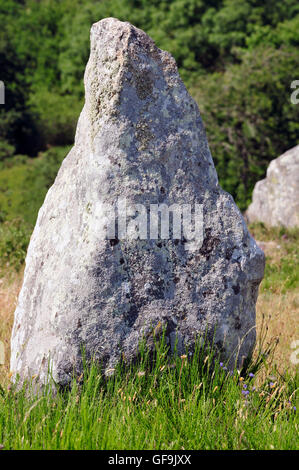 Gros plan du fameux standing stone à Carnac dans le morbihan en Bretagne dans le nord-ouest de la France Banque D'Images