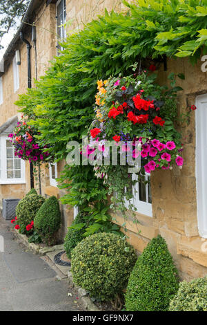 Hanging Basket et clippé fort hedge hors d'un chalet. Broadway, Cotswolds, Worcestershire, Angleterre. Banque D'Images