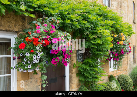 Hanging Basket et clippé fort hedge hors d'un chalet. Broadway, Cotswolds, Worcestershire, Angleterre. Banque D'Images