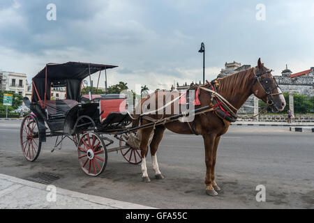 Calèche typique pour les touristes à La Havane, Cuba Banque D'Images