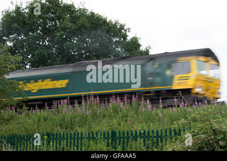 Au passage du train de vitesse latérale fleurs, Warwickshire, Royaume-Uni Banque D'Images