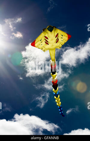 Jaune Manta ray kite conçu par Andreas Fischbacher à Lytham St Anne, près de Blackpool, Royaume-Uni.Juillet 2016.L'un des premiers coupe-vent à arriver à ce festival annuel de bord de mer de Sky Art. Le festival a présenté une seule ligne Peter Lynn Kites, et des cerfs-volants de toutes formes et de toutes tailles. Banque D'Images