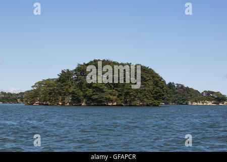 Une vue générale de Matsushima Bay vu à partir d'un bateau dans le cadre de la ''1000km relais à Tokyo 2016'' dans l'événement de promotion de Matsushima le 30 juillet 2016, Miyagi, au Japon. Il y a environ 260 petites îles dans la baie, dont le nom signifie Pine Islands. Au moment de la Mars 2011 tremblement de terre et tsunami les îles a servi comme un obstacle naturel d'affaiblir l'impact du tsunami sur la ville côtière. Matsushima est l'un des endroits les plus populaires à visiter pour les touristes dans la région. © Rodrigo Reyes Marin/AFLO/Alamy Live News Banque D'Images